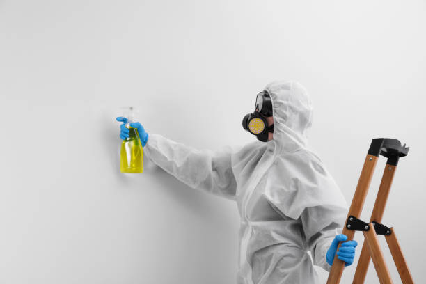 Best Environmental Consulting for Mold Prevention  in St Bonaventure, NY